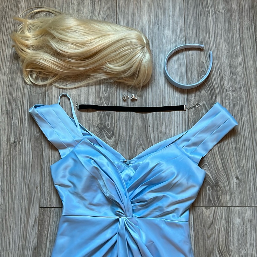 Cinderella costume with wig